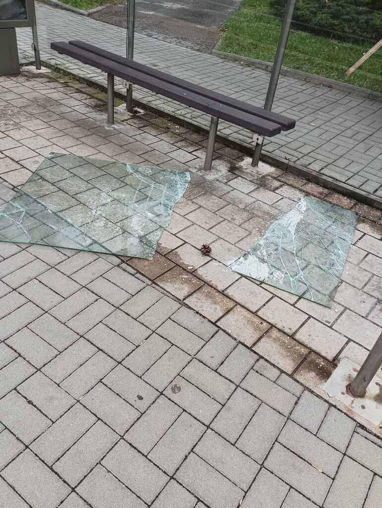 599474 2 Sovadinova BUS zastávka 1